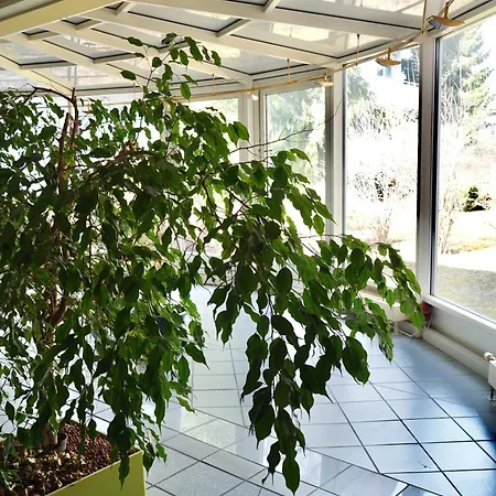 Wilena Apartman Villach