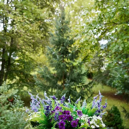 Wilena Daire Villach