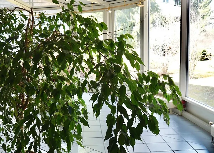 Wilena דירה וילאך