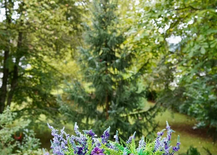 Wilena Lejlighed Villach